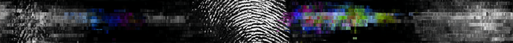 Biometric Identifiers Threat Landscape