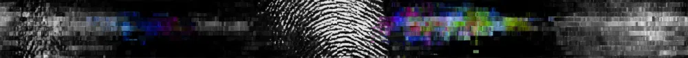 Biometric Identifiers Threat Landscape